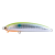 PoziDrive Garage Frilled Swimmer 75F #06 CHART BORA
