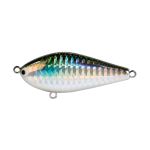 Hard Bodied Lure