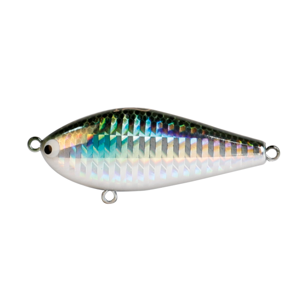 Hard Bodied Lure