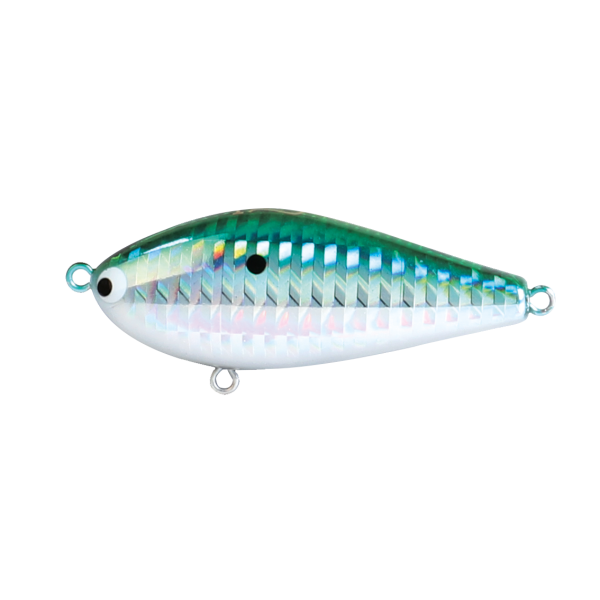 Hard Bodied Lure