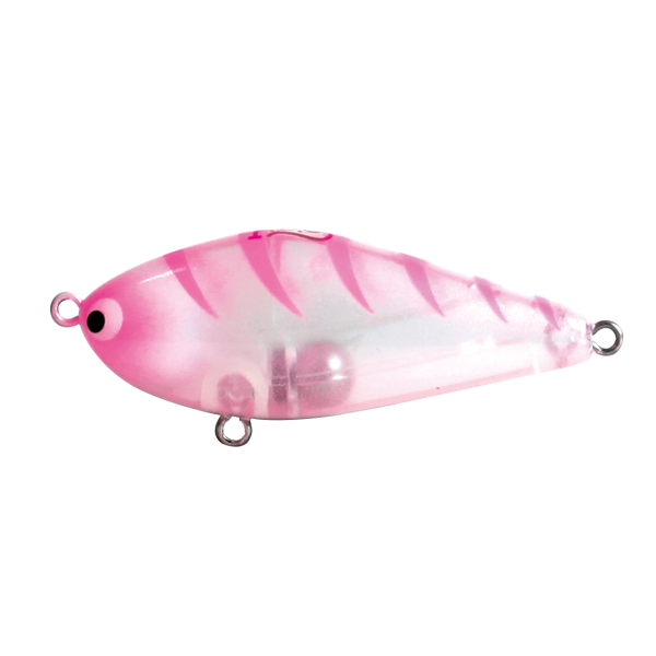 Hard Bodied Lure