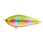 Hard Bodied Lure