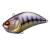 Lure Raid Level Vib 010 CHIGILL