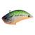 Lure Raid Level Vib 034 PEARL BACK BASS