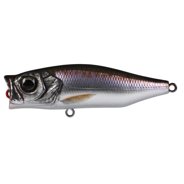 Hard Bodied Lure