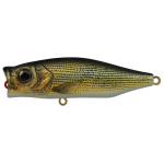 Hard Bodied Lure