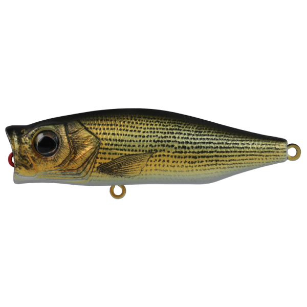 Hard Bodied Lure