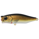 Hard Bodied Lure