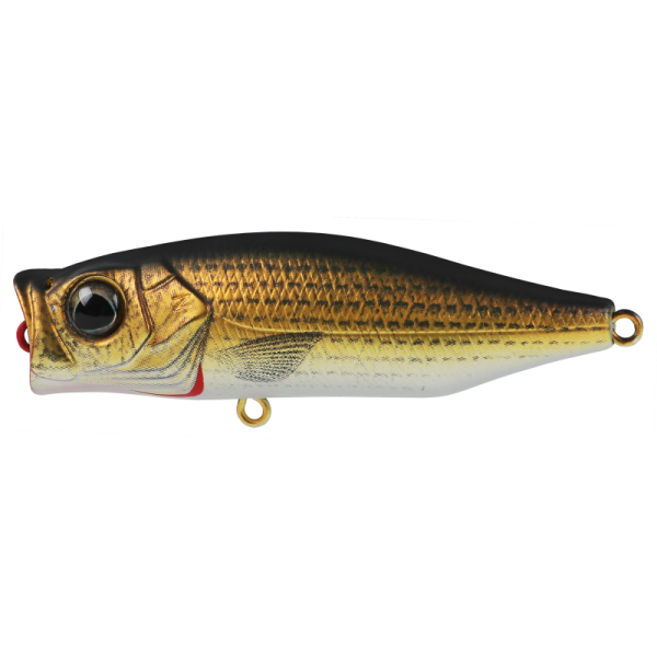 Hard Bodied Lure
