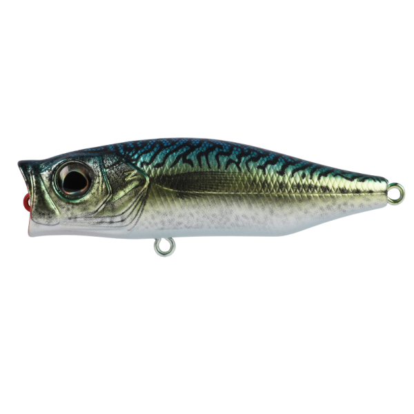 Hard Bodied Lure