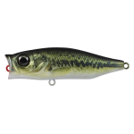 Hard Bodied Lure