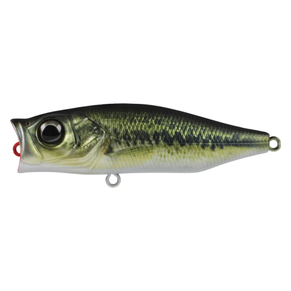 Hard Bodied Lure
