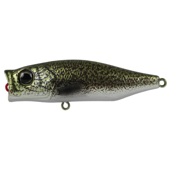 Hard Bodied Lure