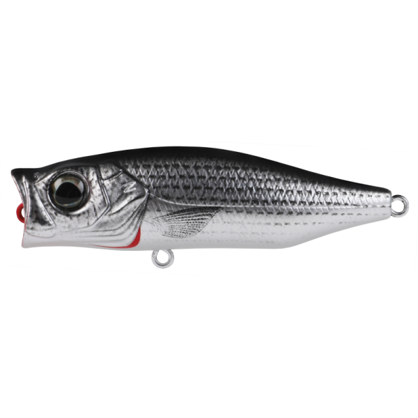 Hard Bodied Lure