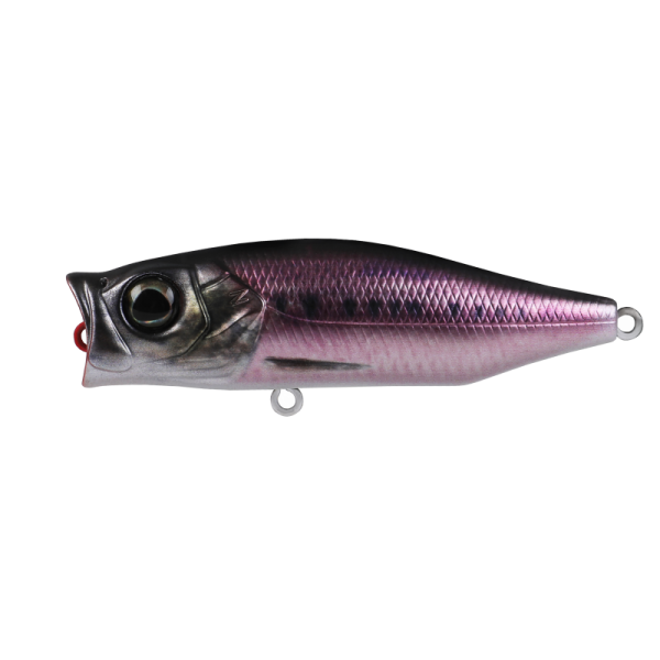 Hard Bodied Lure