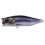 Hard Bodied Lure