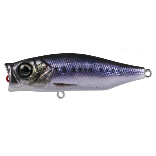 Hard Bodied Lure