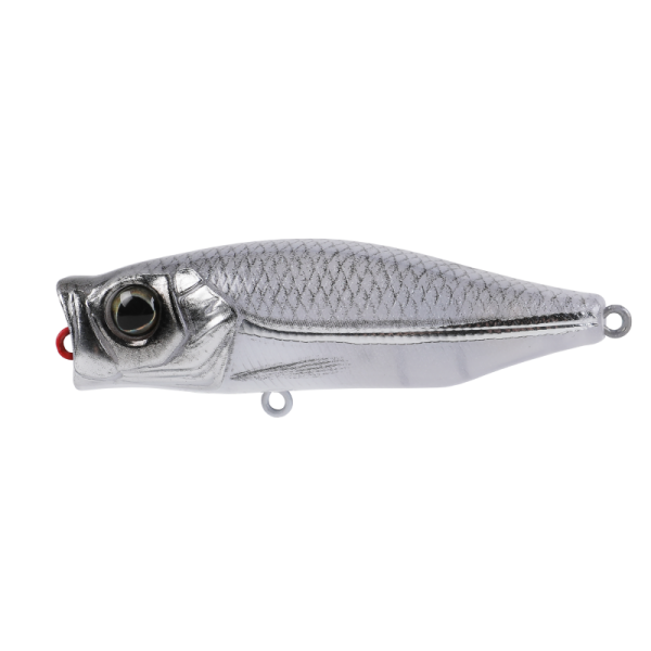 Hard Bodied Lure