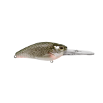 Lure