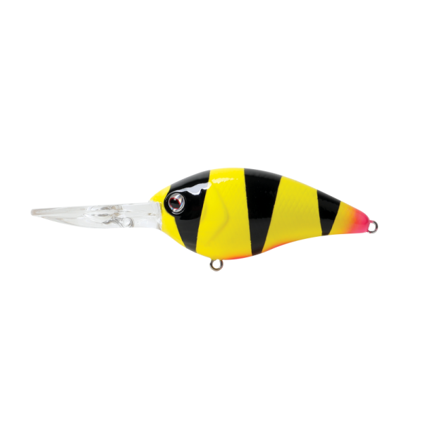 Lure