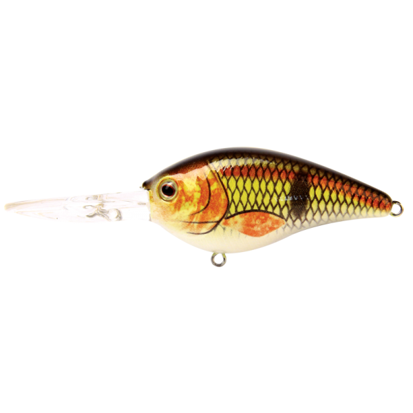 Lure