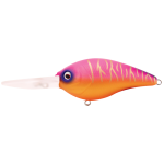 Lure