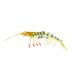 Lure