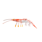 Lure