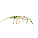 Lure
