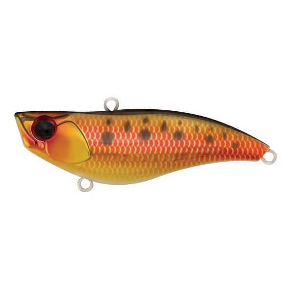 Lure