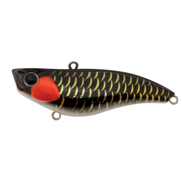 Lure