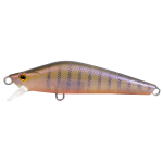 Lure