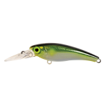 Hard Bodied Lure