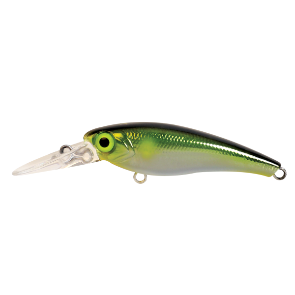 Hard Bodied Lure