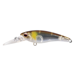 Hard Bodied Lure