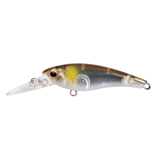 Hard Bodied Lure
