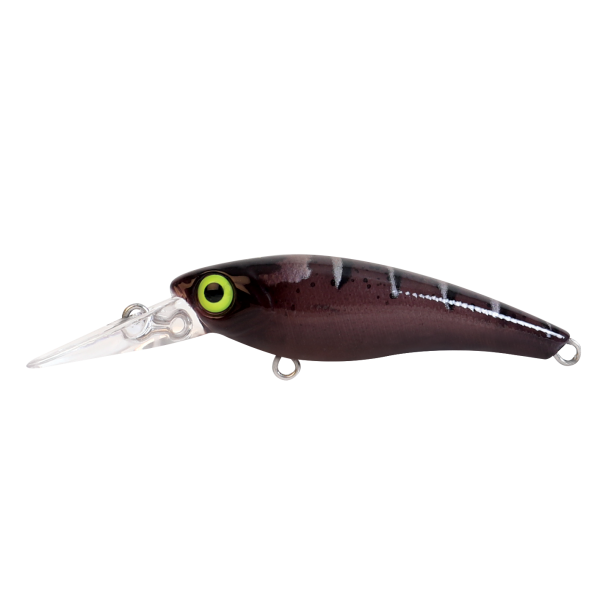 Hard Bodied Lure