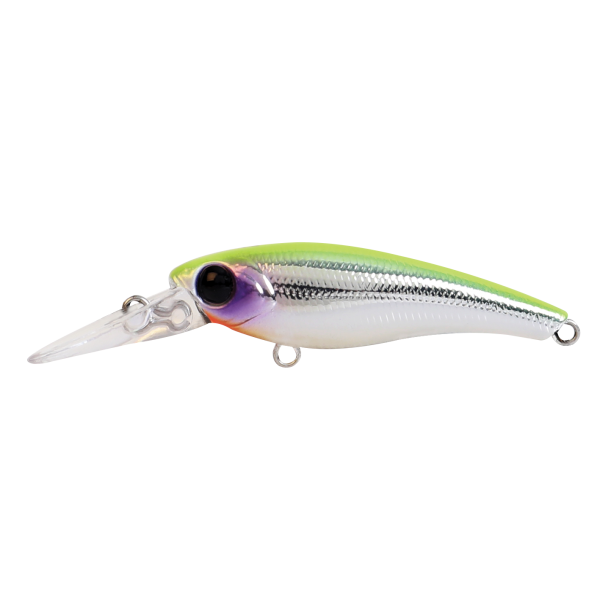 Hard Bodied Lure