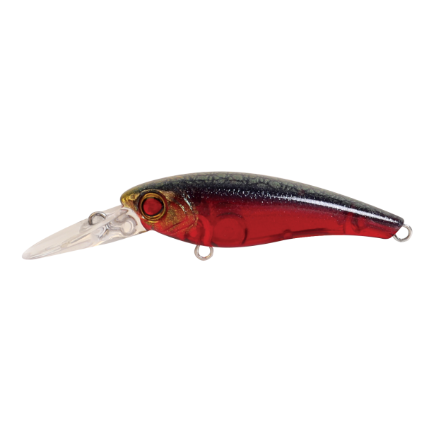 Hard Bodied Lure