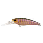 Hard Bodied Lure