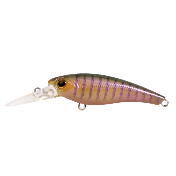 Hard Bodied Lure