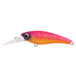 Hard Bodied Lure