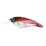 Lure