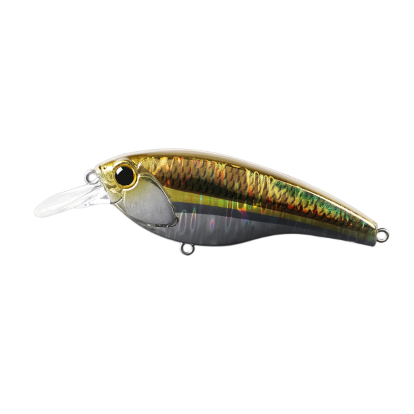 Lure