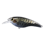 Lure