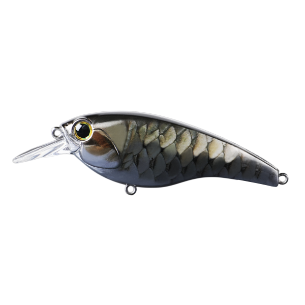 Lure