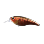 Lure