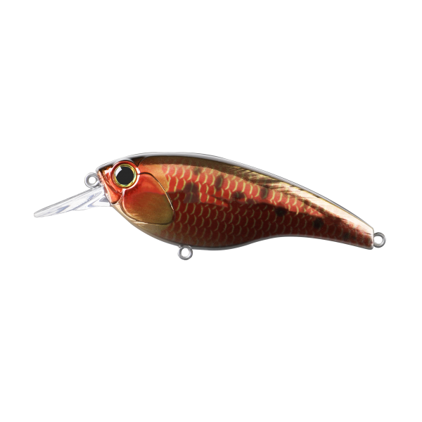 Lure