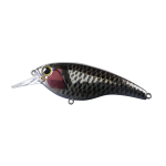 Lure