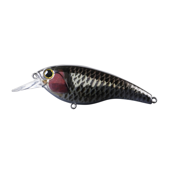 Lure